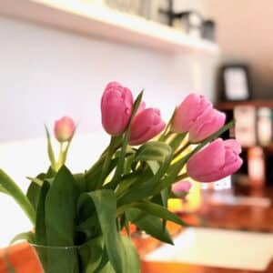 Esthetics by Evette