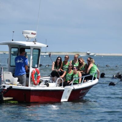 Seal Tour