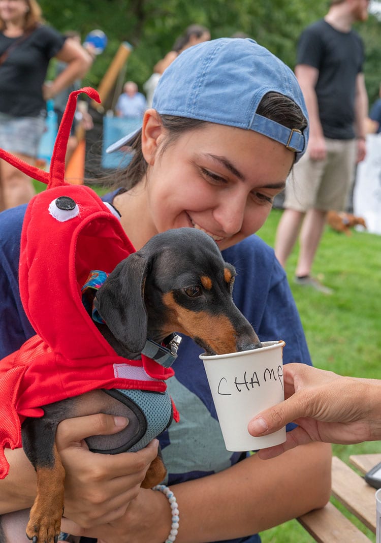 Wiener Waddle and Waggin’ Parade