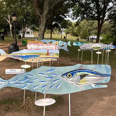 Chatham Art in the park