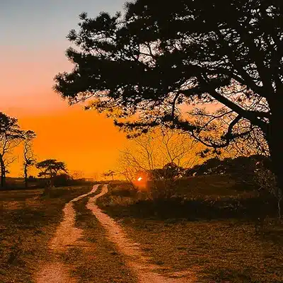 Smith's Point, Nantucket at Sunset