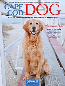Cape-Cod-DOG