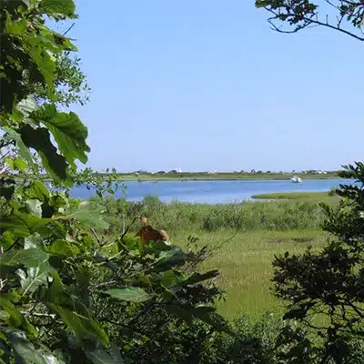Caroline Tuthill Preserve