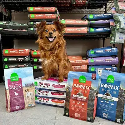 Dog inside Hot Diggity Pet Grocery & Boutique