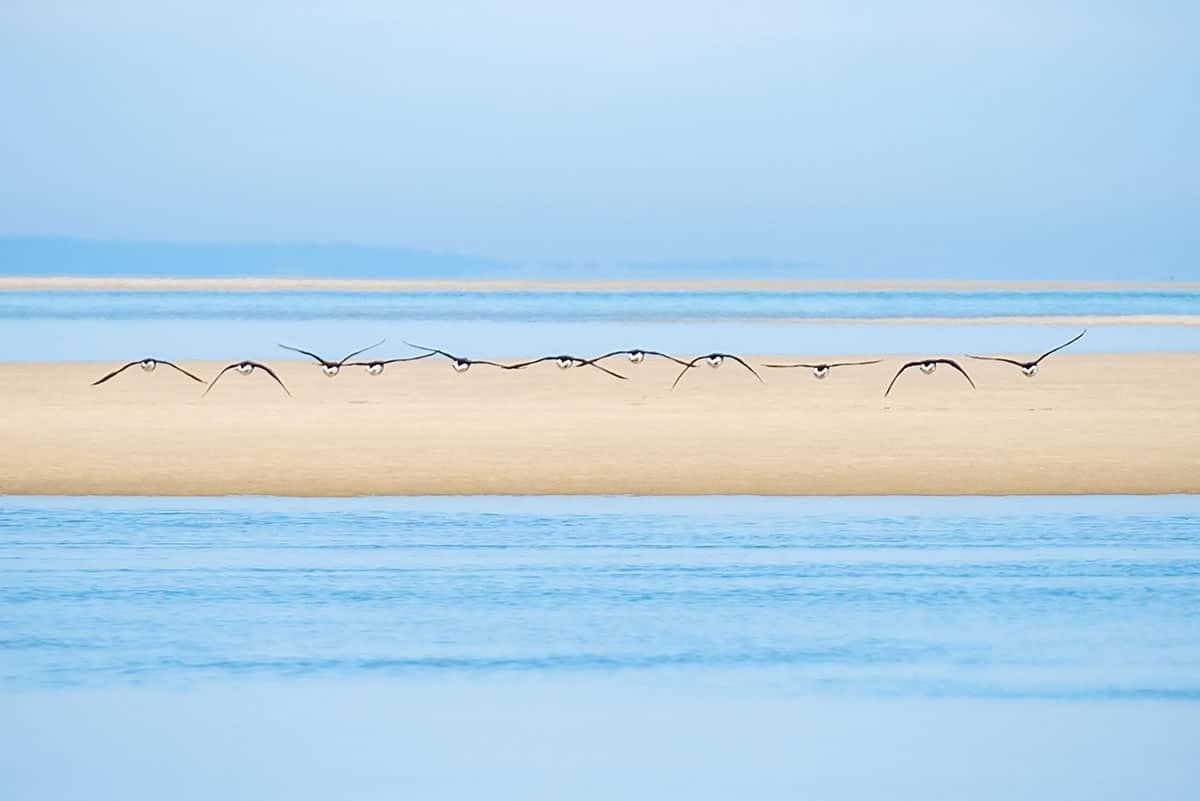 Seascapes--First-Place--By-Maureen-Holland--Brewster-Flats,-Brewster--DSC_1579