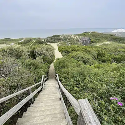 Steps beach