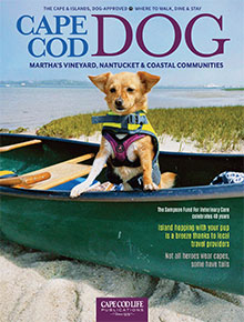 Cape-Cod-DOG
