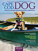 Cape-Cod-DOG