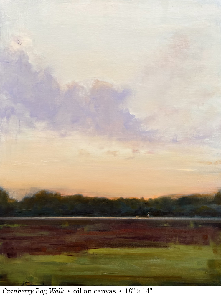 Artist Profile: Cleber Stecei