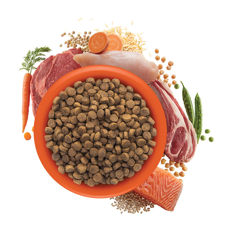 Photos provided by Ethos Pet Brands