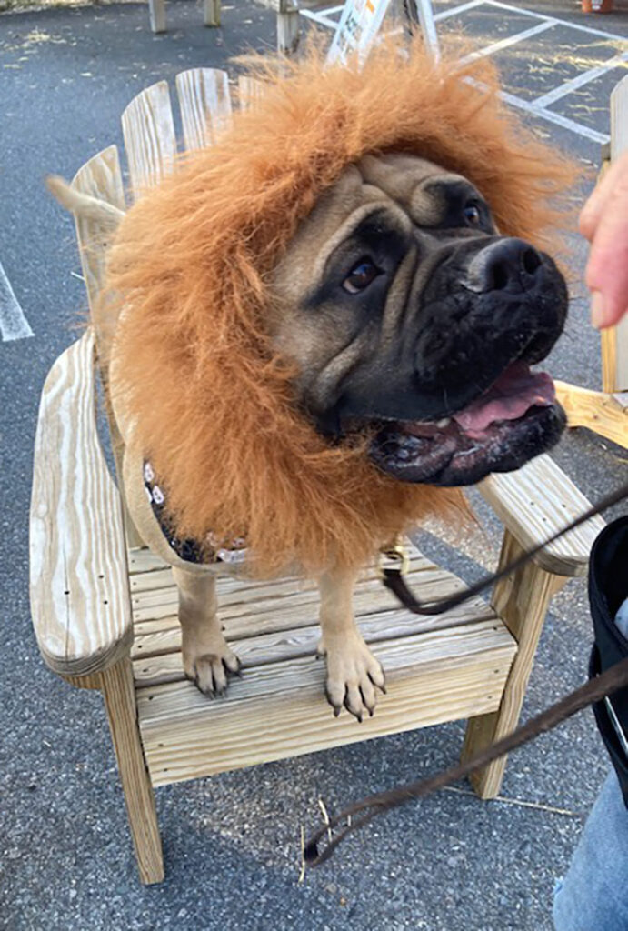 Photo provided by The Sampson Fund