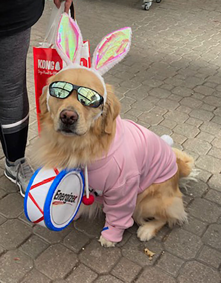 Photo provided by The Sampson Fund