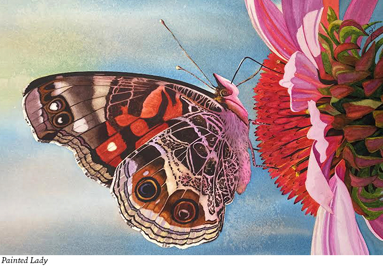 Artist Profile: Ann Hart