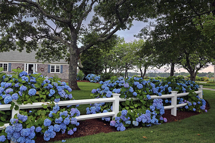 Shorelines: Happiness Is…