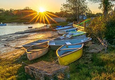 Bob-Amaral-Featured-Photo