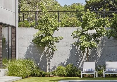 Jane Messinger Photography