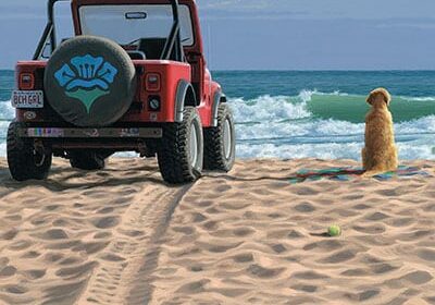 LIFE's-Canvas--A-Lifetime-of-Moments-FP