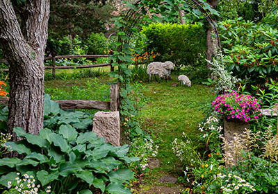 Message in-a-Garden-Featured-Photo