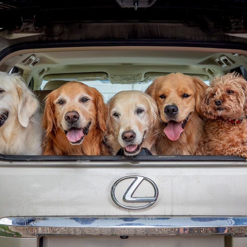 Photo-Contest,-Kids-&-Pets,-By-David-Long