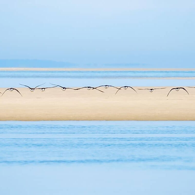 Seascapes--First-Place--By-Maureen-Holland--Brewster-Flats,-Brewster--DSC_1579