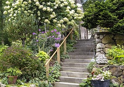 SoaresGarden_FeaturePhoto