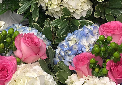 Spotlight--Lily’s-Florist-and-Gifts-Featured-Photo