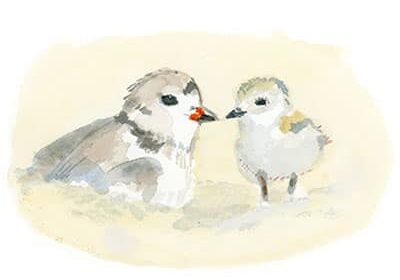 Those-Who-Fledge-and-Those-Who-Flee-Featured-Photo